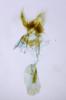 277841 – Photo : Hazel West – France (17)
